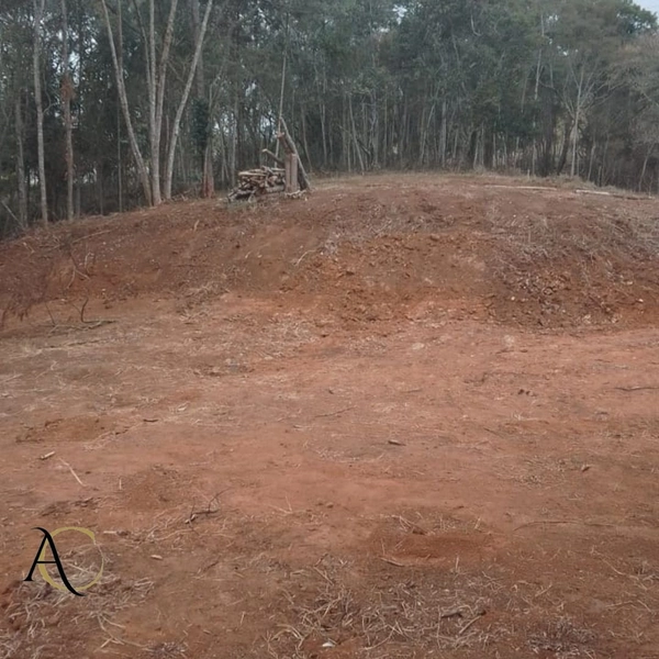 🌱 Terreno à venda em Ipiabas com 1.957 m²: 18ª foto da galeria de imagens do imóvel