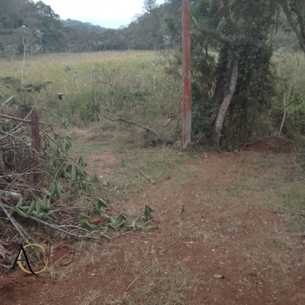 🌱 Terreno à venda em Ipiabas com 1.957 m²: 3ª foto da galeria de imagens do imóvel