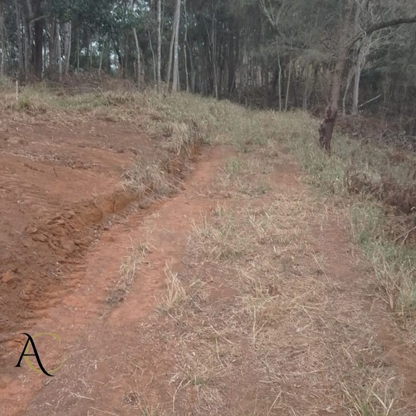 🌱 Terreno à venda em Ipiabas com 1.957 m²: 16ª foto da galeria de imagens do imóvel