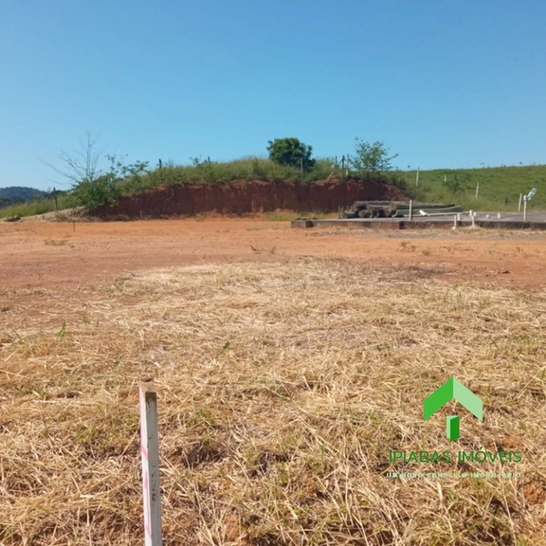 🌱 Terreno á venda em Ipiabas com 2640 m2: 3ª foto da galeria de imagens do imóvel