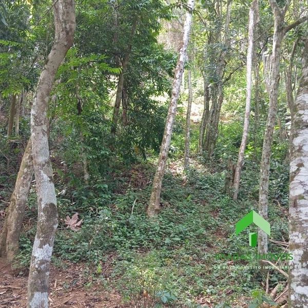 🌱 Terreno a venda em Ipiabas, com 1600 m2.: 6ª foto da galeria de imagens do imóvel