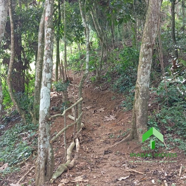 🌱 Terreno a venda em Ipiabas, com 1600 m2.: 8ª foto da galeria de imagens do imóvel