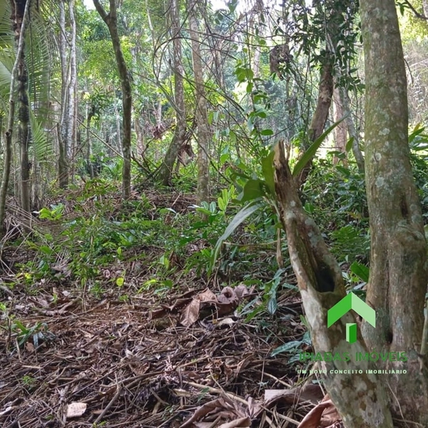 🌱 Terreno a venda em Ipiabas, com 1600 m2.: 12ª foto da galeria de imagens do imóvel