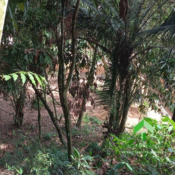 🌱 Terreno a venda em Ipiabas, com 1600 m2.: 13ª foto da galeria de imagens do imóvel