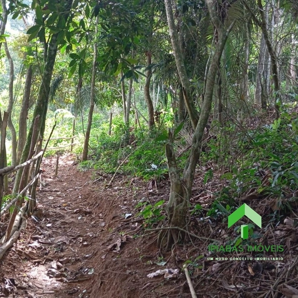 🌱 Terreno a venda em Ipiabas, com 1600 m2.: 9ª foto da galeria de imagens do imóvel