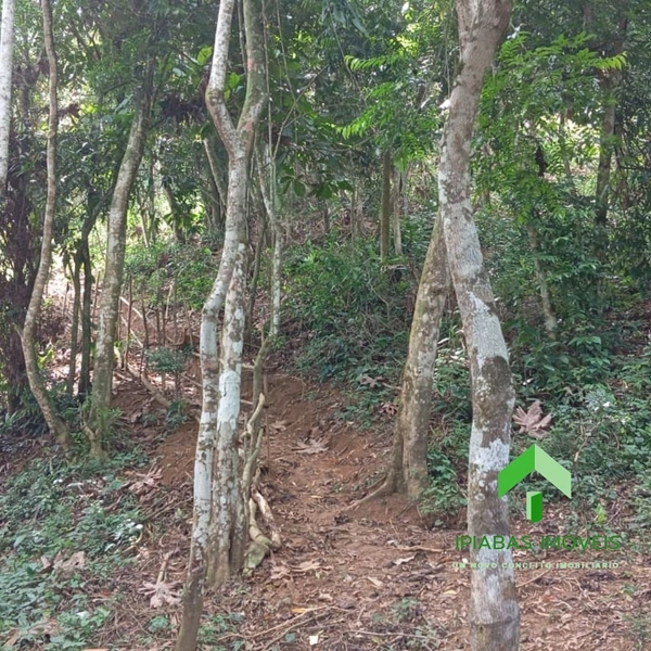 🌱 Terreno a venda em Ipiabas, com 1600 m2.: 7ª foto da galeria de imagens do imóvel