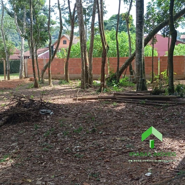 🌱 Terreno a venda em Ipiabas, com 1600 m2.: 22ª foto da galeria de imagens do imóvel