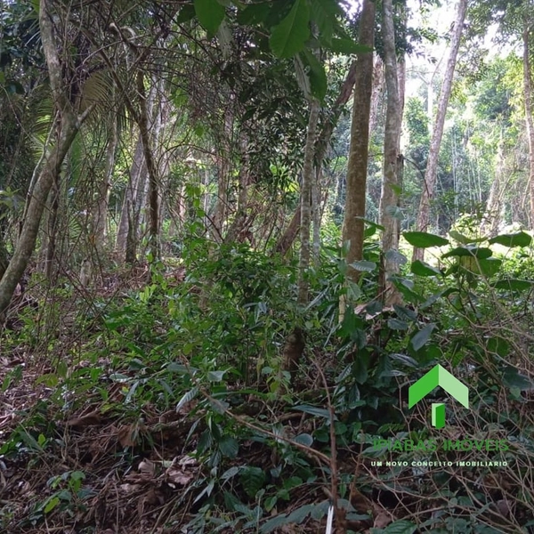 🌱 Terreno a venda em Ipiabas, com 1600 m2.: 11ª foto da galeria de imagens do imóvel