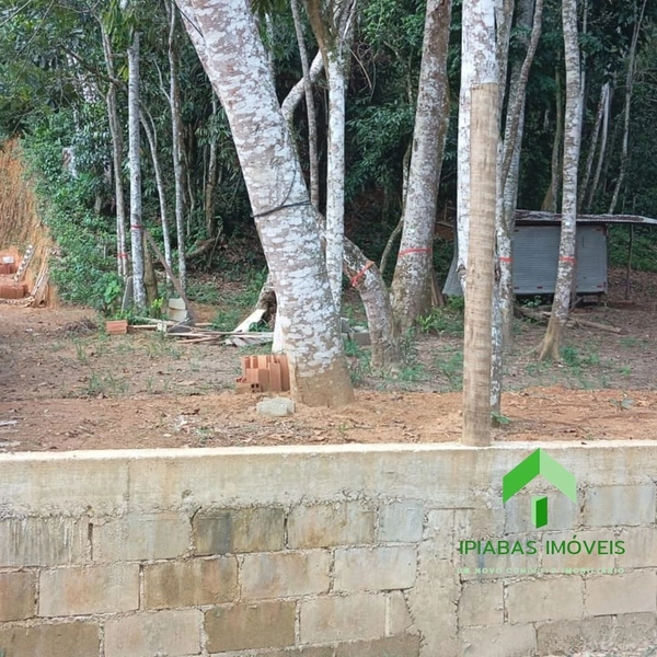 🌱 Terreno a venda em Ipiabas, com 1600 m2.: 15ª foto da galeria de imagens do imóvel