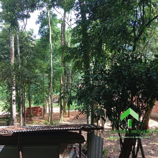 🌱 Terreno a venda em Ipiabas, com 1600 m2.: 19ª foto da galeria de imagens do imóvel
