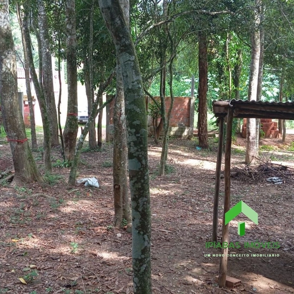 🌱 Terreno a venda em Ipiabas, com 1600 m2.: 10ª foto da galeria de imagens do imóvel