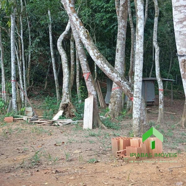 🌱 Terreno a venda em Ipiabas, com 1600 m2.: 5ª foto da galeria de imagens do imóvel