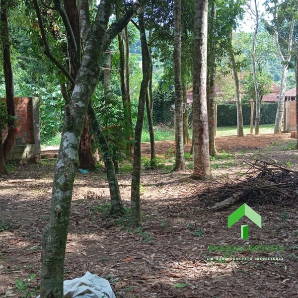 🌱 Terreno a venda em Ipiabas, com 1600 m2.: 20ª foto da galeria de imagens do imóvel