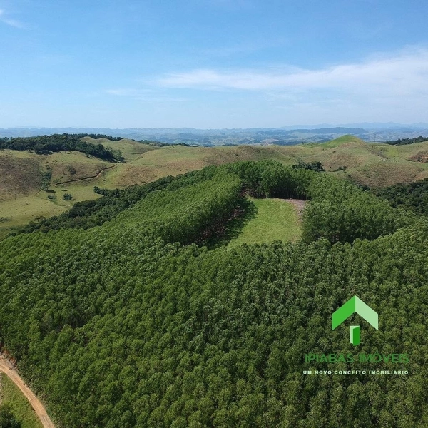 🌱 Fazenda a venda em Ipiabas, com 2 Casas, 32 Alqueires Paulistas.: 12ª foto da galeria de imagens do imóvel