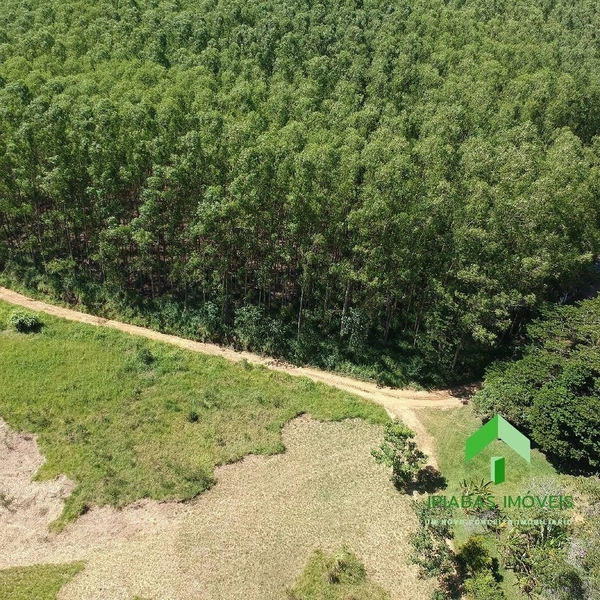 🌱 Fazenda a venda em Ipiabas, com 2 Casas, 32 Alqueires Paulistas.: 5ª foto da galeria de imagens do imóvel