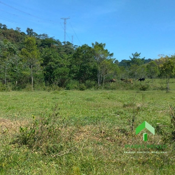 🌱 Fazenda a venda em Ipiabas, com 2 Casas, 32 Alqueires Paulistas.: 46ª foto da galeria de imagens do imóvel