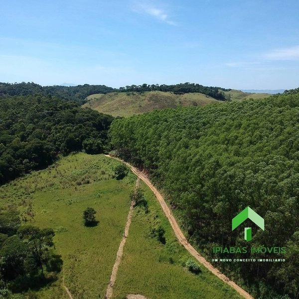 🌱 Fazenda a venda em Ipiabas, com 2 Casas, 32 Alqueires Paulistas.: 10ª foto da galeria de imagens do imóvel