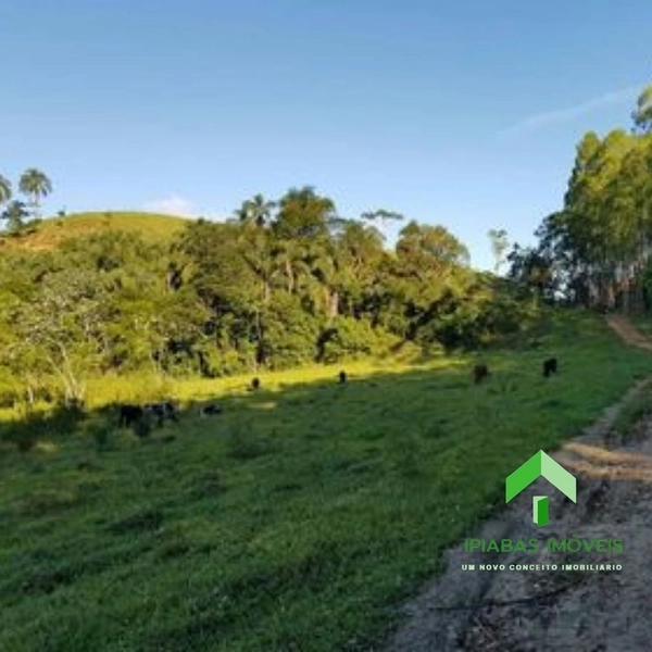 🌱 Fazenda a venda em Ipiabas, com 2 Casas, 32 Alqueires Paulistas.: 39ª foto da galeria de imagens do imóvel