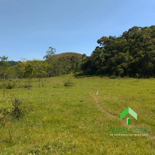 🌱 Fazenda a venda em Ipiabas, com 2 Casas, 32 Alqueires Paulistas.: 49ª foto da galeria de imagens do imóvel