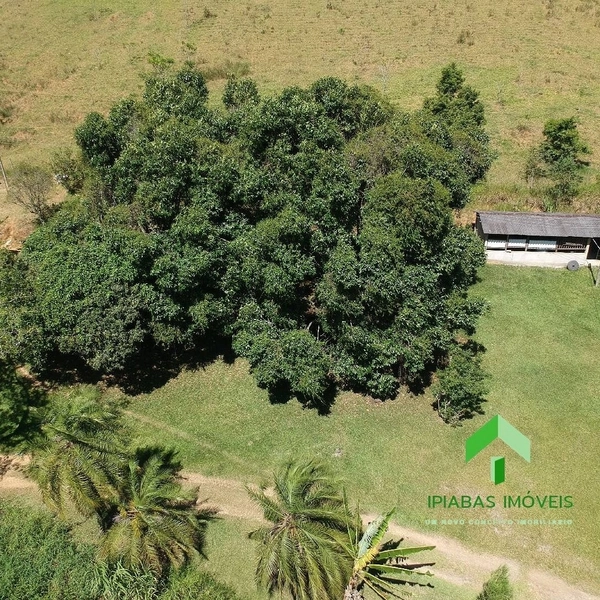 🌱 Fazenda a venda em Ipiabas, com 2 Casas, 32 Alqueires Paulistas.: 2ª foto da galeria de imagens do imóvel