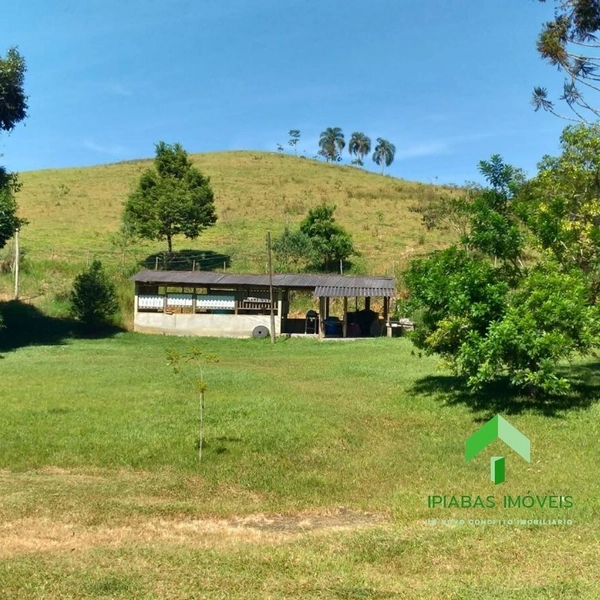 🌱 Fazenda a venda em Ipiabas, com 2 Casas, 32 Alqueires Paulistas.: 51ª foto da galeria de imagens do imóvel