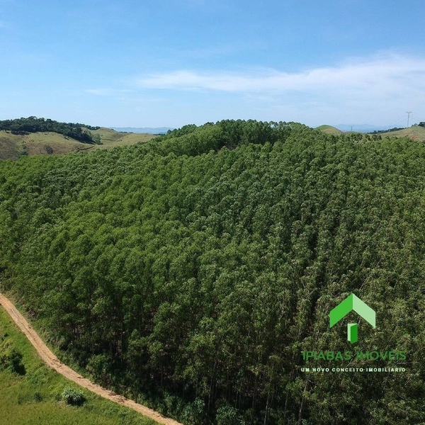 🌱 Fazenda a venda em Ipiabas, com 2 Casas, 32 Alqueires Paulistas.: 11ª foto da galeria de imagens do imóvel