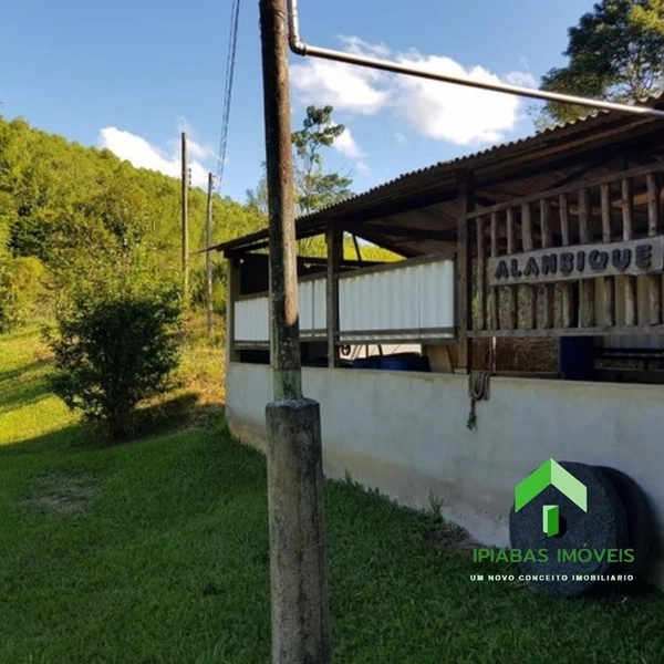 🌱 Fazenda a venda em Ipiabas, com 2 Casas, 32 Alqueires Paulistas.: 26ª foto da galeria de imagens do imóvel