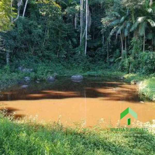 🌱 Fazenda a venda em Ipiabas, com 2 Casas, 32 Alqueires Paulistas.: 37ª foto da galeria de imagens do imóvel