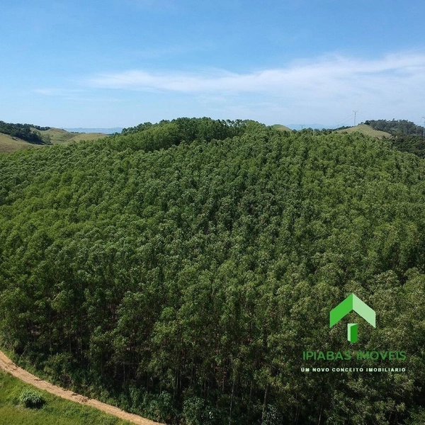 🌱 Fazenda a venda em Ipiabas, com 2 Casas, 32 Alqueires Paulistas.: 6ª foto da galeria de imagens do imóvel