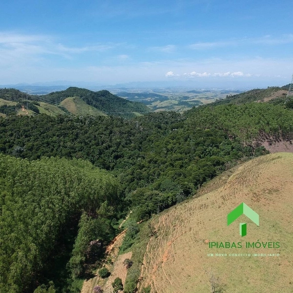 🌱 Fazenda a venda em Ipiabas, com 2 Casas, 32 Alqueires Paulistas.: 9ª foto da galeria de imagens do imóvel