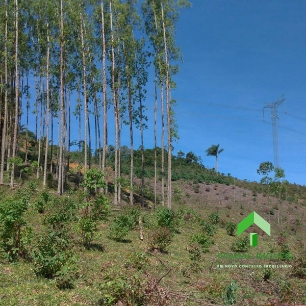 🌱 Fazenda a venda em Ipiabas, com 2 Casas, 32 Alqueires Paulistas.: 45ª foto da galeria de imagens do imóvel