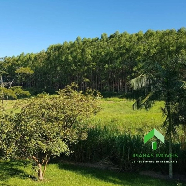 🌱 Fazenda a venda em Ipiabas, com 2 Casas, 32 Alqueires Paulistas.: 53ª foto da galeria de imagens do imóvel