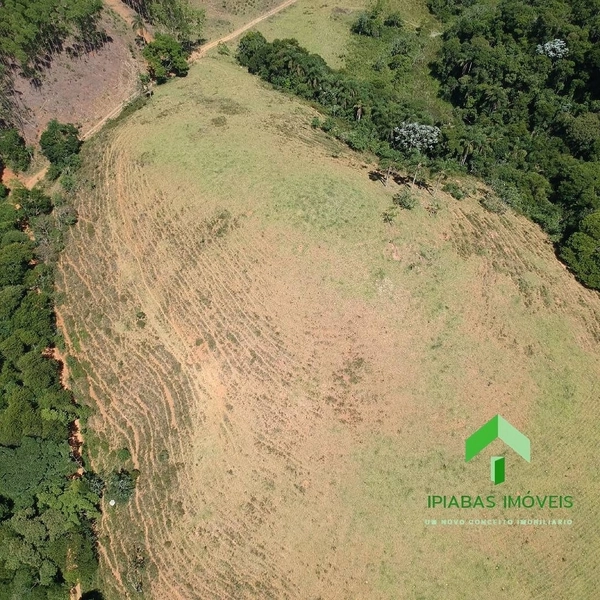 🌱 Fazenda a venda em Ipiabas, com 2 Casas, 32 Alqueires Paulistas.: 8ª foto da galeria de imagens do imóvel
