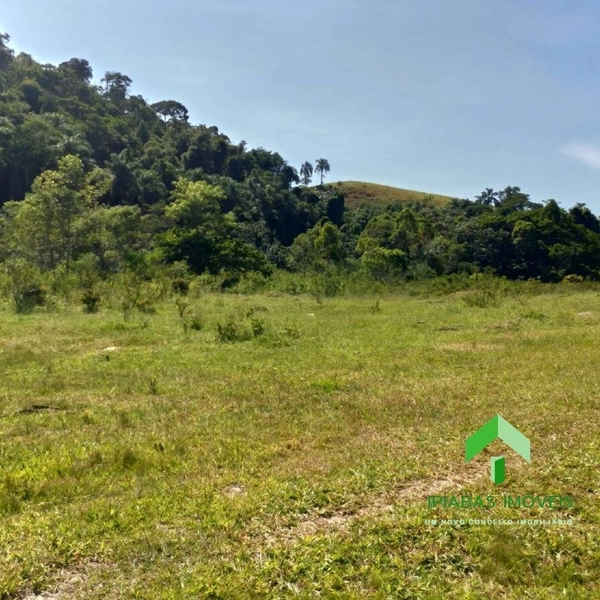 🌱 Fazenda a venda em Ipiabas, com 2 Casas, 32 Alqueires Paulistas.: 48ª foto da galeria de imagens do imóvel
