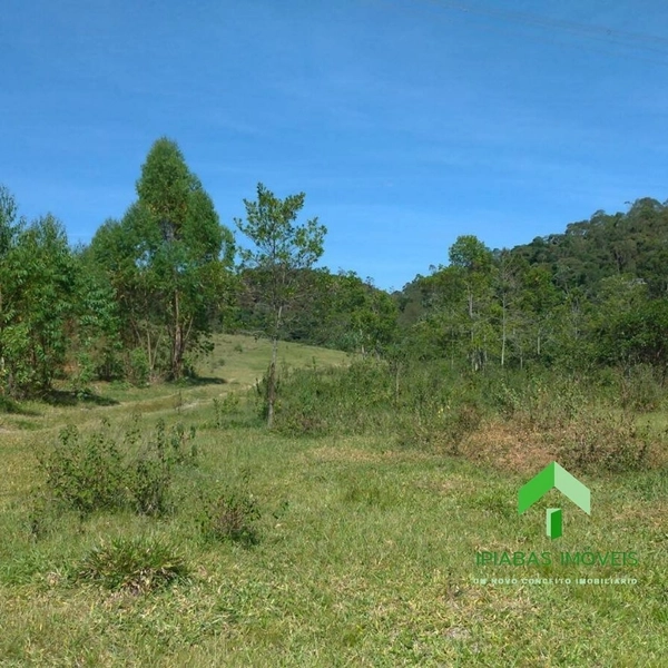 🌱 Fazenda a venda em Ipiabas, com 2 Casas, 32 Alqueires Paulistas.: 47ª foto da galeria de imagens do imóvel