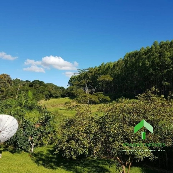 🌱 Fazenda a venda em Ipiabas, com 2 Casas, 32 Alqueires Paulistas.: 34ª foto da galeria de imagens do imóvel