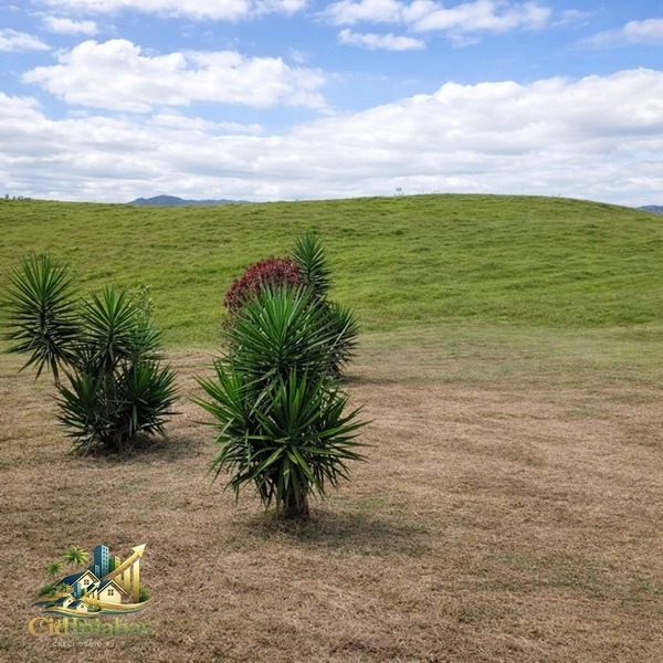 Studio com Terreno Amplo à Venda em Ipiabas — Praticidade Hoje, Valorização Amanhã: 12ª foto da galeria de imagens do imóvel