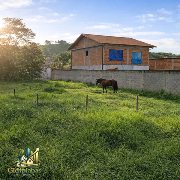 🌄 Terreno à Venda em Ipiabas – 537m² com Localização Comercial Estratégica: 7ª foto da galeria de imagens do imóvel