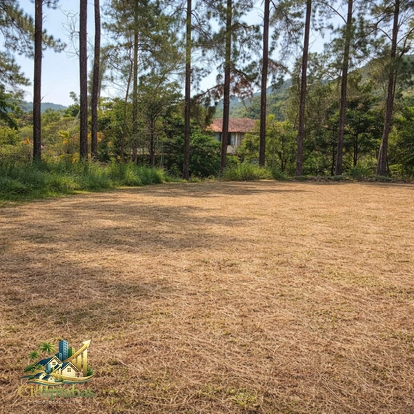 🌄 Terreno à Venda em Ipiabas – 537m² com Localização Comercial Estratégica: 8ª foto da galeria de imagens do imóvel