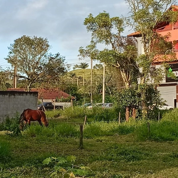 🌱 Terreno a venda em Ipiabas, com 537 m2.: 2ª foto da galeria de imagens do imóvel