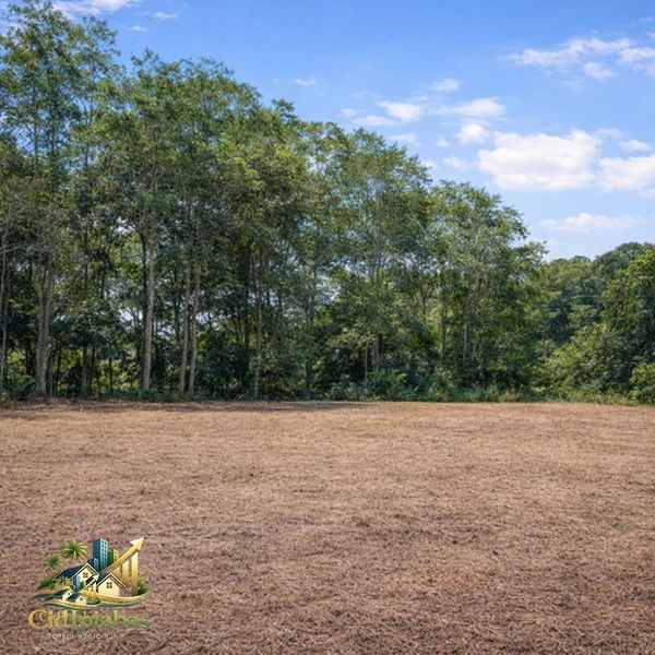 🌄 Terreno à Venda em Ipiabas – 537m² com Localização Comercial Estratégica: 4ª foto da galeria de imagens do imóvel