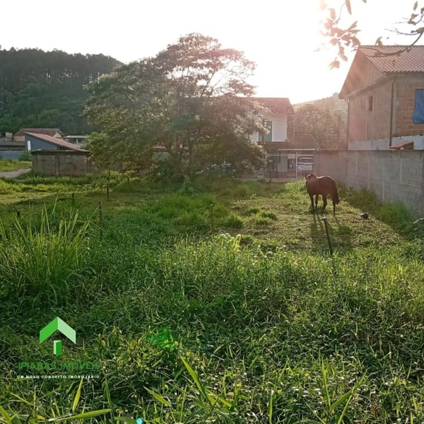🌱 Terreno a venda em Ipiabas, com 537 m2.: 7ª foto da galeria de imagens do imóvel