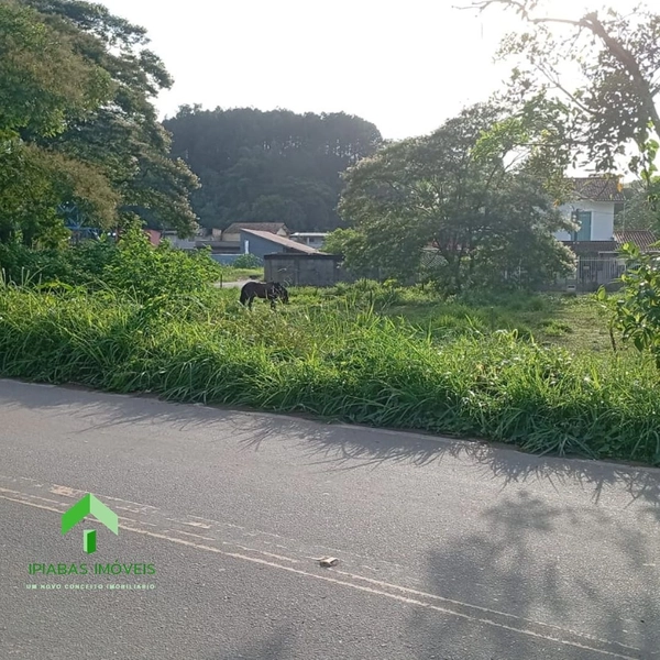 🌱 Terreno a venda em Ipiabas, com 537 m2.: 9ª foto da galeria de imagens do imóvel