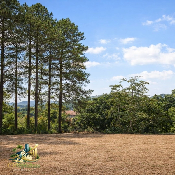 🌄 Terreno à Venda em Ipiabas – 537m² com Localização Comercial Estratégica: 6ª foto da galeria de imagens do imóvel