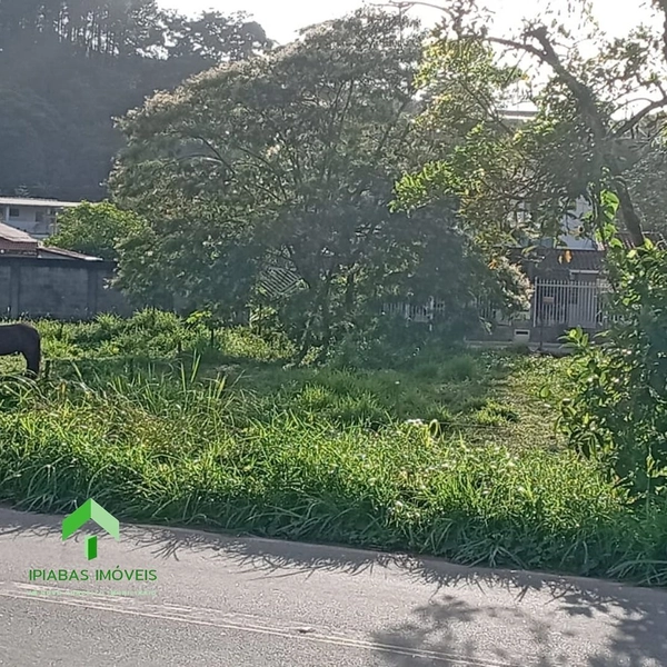 🌱 Terreno a venda em Ipiabas, com 537 m2.: 12ª foto da galeria de imagens do imóvel