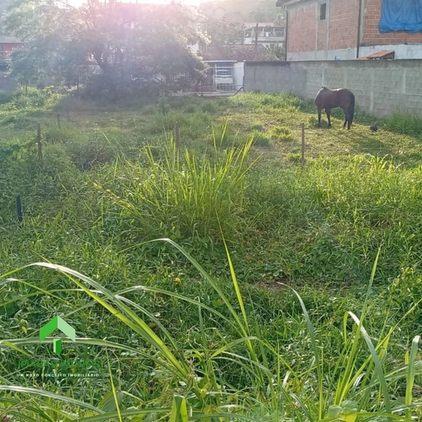 🌱 Terreno a venda em Ipiabas, com 537 m2.: 6ª foto da galeria de imagens do imóvel