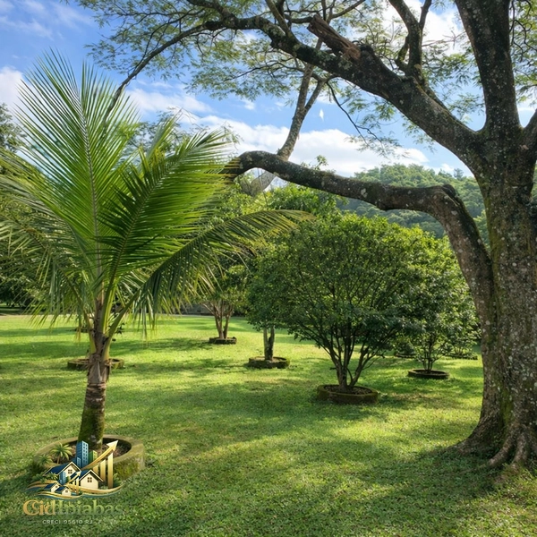 🏡 Casa à Venda em Ipiabas – 6 Quartos, 1.100m² Construídos e Alto Potencial de Renda: 4ª foto da galeria de imagens do imóvel