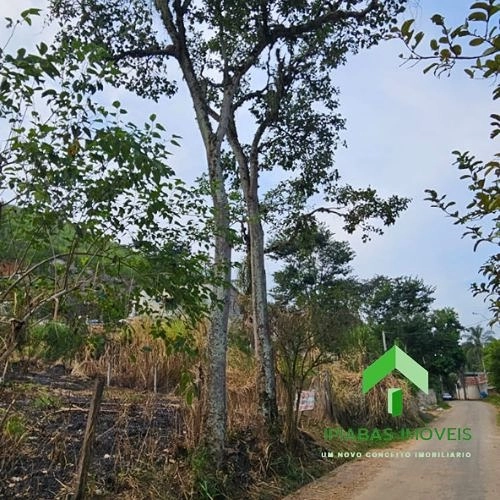 🌱 Oportunidade: Chácara com 4.950 m² à Venda em Bacia de Pedra – Itakamozí: 5ª foto da galeria de imagens do imóvel