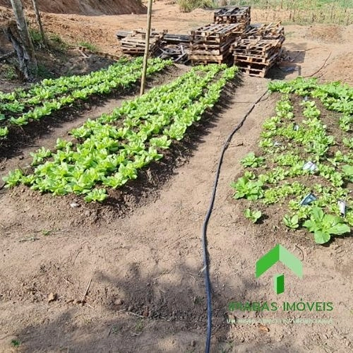 🌱 Oportunidade: Chácara com 4.950 m² à Venda em Bacia de Pedra – Itakamozí: 16ª foto da galeria de imagens do imóvel