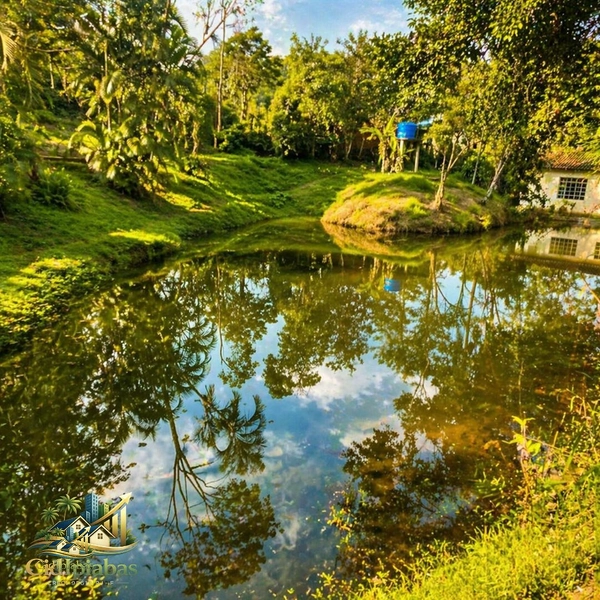 🌿 Chácara Exclusiva à Venda em Ipiabas — Espaço, Conforto e Alto Potencial de Renda: 33ª foto da galeria de imagens do imóvel